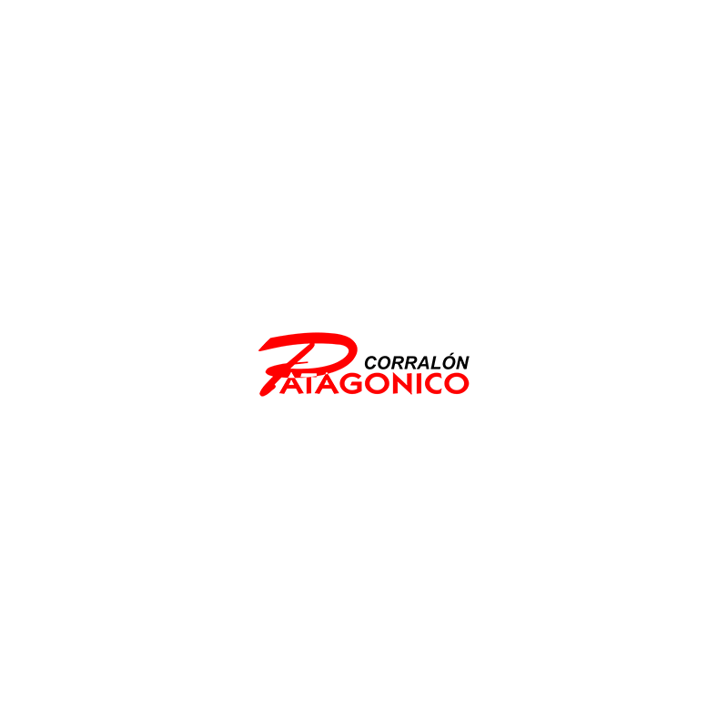 Prueba Tramontina - Honda 21cm